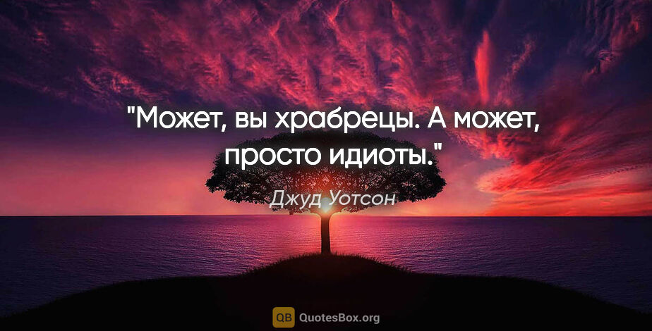 Джуд Уотсон цитата: "Может, вы храбрецы.

А может, просто идиоты."