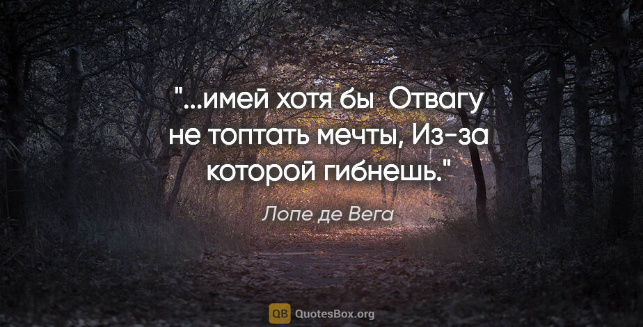 Лопе де Вега цитата: "имей хотя бы 

Отвагу не топтать мечты,

Из-за которой..."