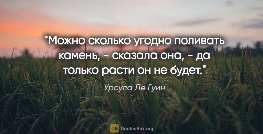 Урсула Ле Гуин цитата: "Можно сколько угодно поливать камень, - сказала она, - да..."