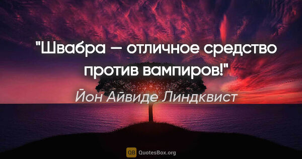 Йон Айвиде Линдквист цитата: "Швабра — отличное средство против вампиров!"