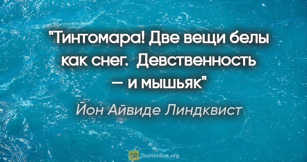 Йон Айвиде Линдквист цитата: "Тинтомара! Две вещи белы как снег. 

Девственность — и мышьяк"