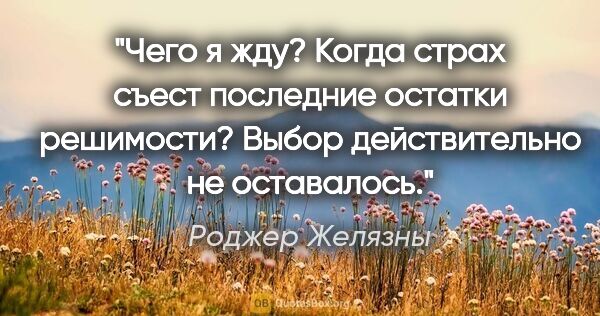 Роджер Желязны цитата: "Чего я жду? Когда страх съест последние остатки решимости?..."