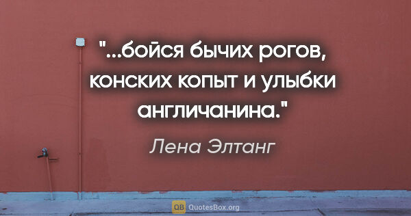 Лена Элтанг цитата: "...бойся бычих рогов, конских копыт и улыбки англичанина."