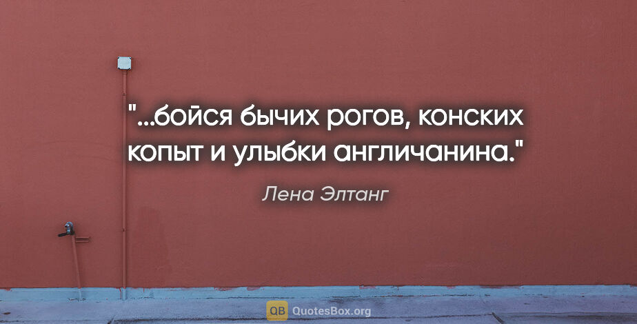 Лена Элтанг цитата: "...бойся бычих рогов, конских копыт и улыбки англичанина."