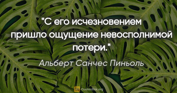 Альберт Санчес Пиньоль цитата: "С его исчезновением пришло ощущение невосполнимой потери."