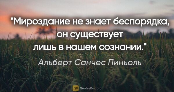 Альберт Санчес Пиньоль цитата: "Мироздание не знает беспорядка, он существует лишь в нашем..."