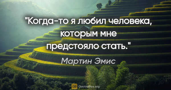 Мартин Эмис цитата: "Когда-то я любил человека, которым мне предстояло стать."