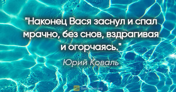 Юрий Коваль цитата: "Наконец Вася заснул и спал мрачно, без снов, вздрагивая и..."