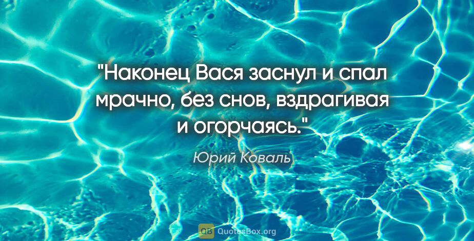 Юрий Коваль цитата: "Наконец Вася заснул и спал мрачно, без снов, вздрагивая и..."