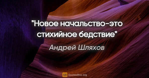 Андрей Шляхов цитата: "Новое начальство-это стихийное бедствие"