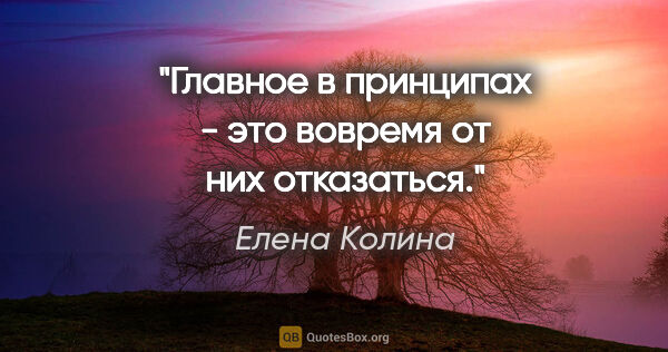 Елена Колина цитата: "Главное в принципах - это вовремя от них отказаться."