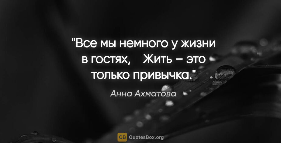 Анна Ахматова цитата: "Все мы немного у жизни в гостях, 

  Жить – это только привычка."