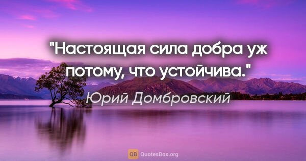 Юрий Домбровский цитата: "Настоящая сила добра уж потому, что устойчива."