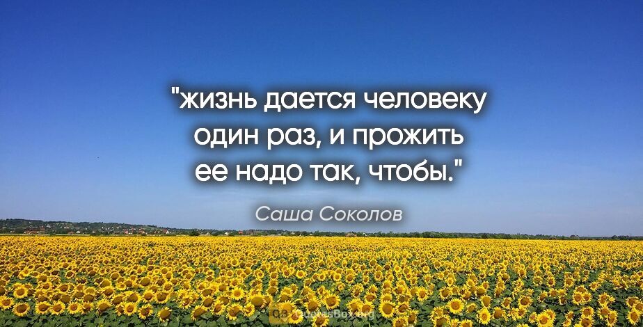 Саша Соколов цитата: "жизнь дается человеку один раз, и прожить ее надо так, чтобы."