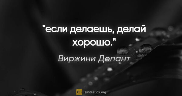 Виржини Депант цитата: "если делаешь, делай хорошо."