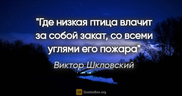 Виктор Шкловский цитата: "Где низкая птица влачит за собой закат, со всеми углями его..."