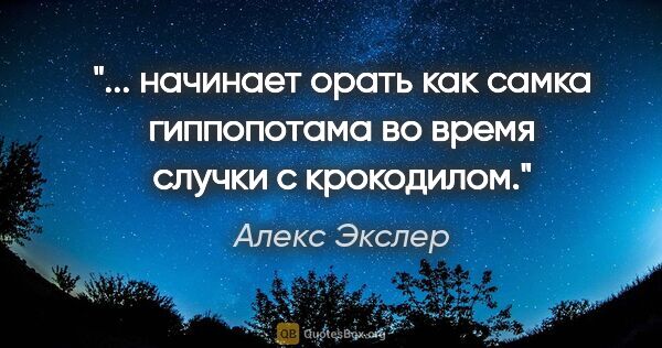 Алекс Экслер цитата: " начинает орать как самка гиппопотама во время случки с..."