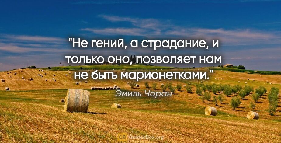 Эмиль Чоран цитата: "Не гений, а страдание, и только оно, позволяет нам не быть..."