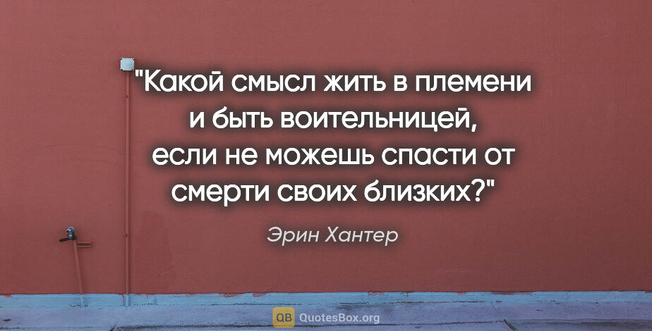 Эрин Хантер цитата: "Какой смысл жить в племени и быть воительницей, если не можешь..."