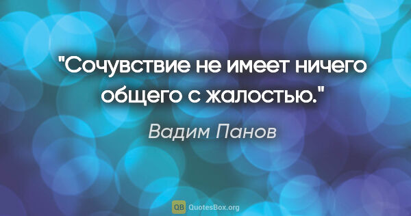 Вадим Панов цитата: "Сочувствие не имеет ничего общего с жалостью."