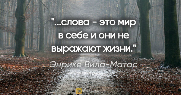 Энрике Вила-Матас цитата: "...слова - это мир в себе и они "не выражают жизни"."