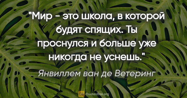 Янвиллем ван де Ветеринг цитата: "Мир - это школа, в которой будят спящих. Ты проснулся и больше..."