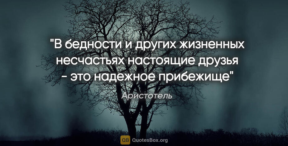 Аристотель цитата: "В бедности и других жизненных несчастьях настоящие друзья -..."