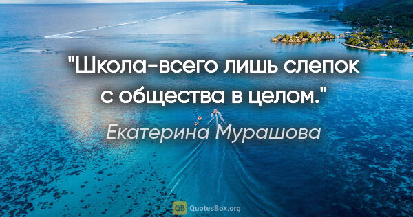 Екатерина Мурашова цитата: "Школа-всего лишь слепок с общества в целом."