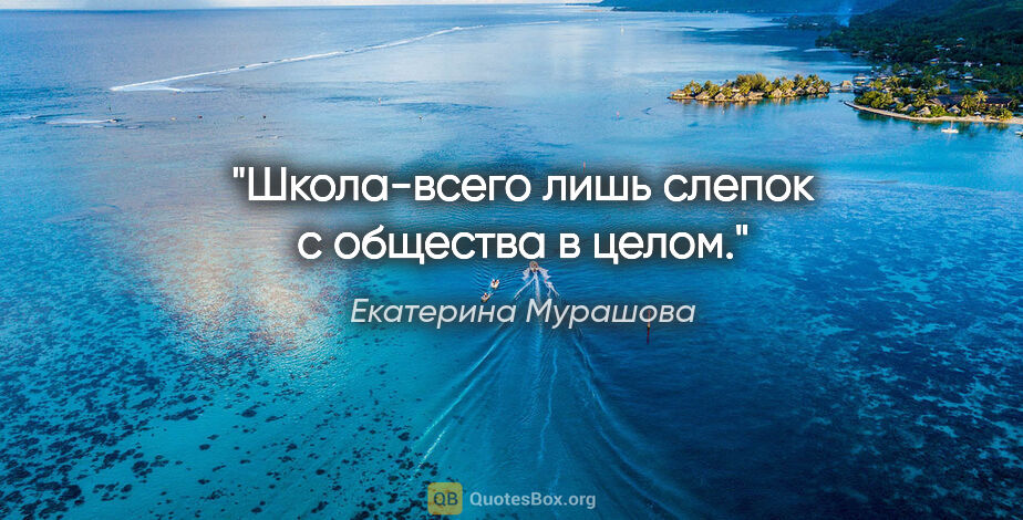 Екатерина Мурашова цитата: "Школа-всего лишь слепок с общества в целом."
