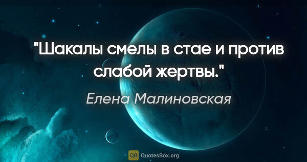 Елена Малиновская цитата: "Шакалы смелы в стае и против слабой жертвы."