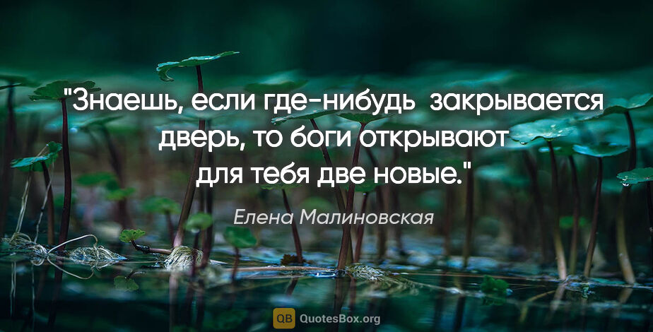 Елена Малиновская цитата: "Знаешь, если где-нибудь  закрывается дверь, то боги открывают..."