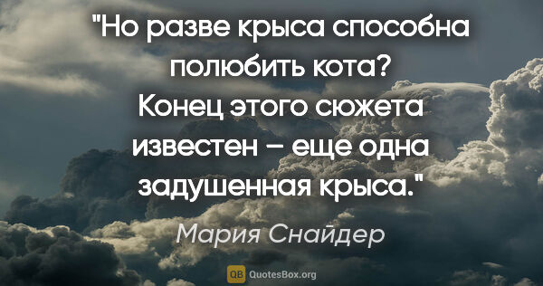 Мария Снайдер цитата: "Но разве крыса способна полюбить кота? Конец этого сюжета..."