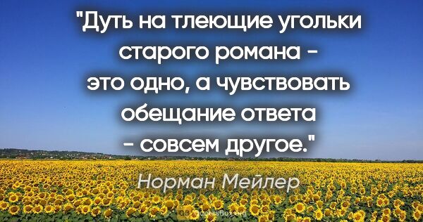 Норман Мейлер цитата: "Дуть на тлеющие угольки старого романа - это одно, а..."