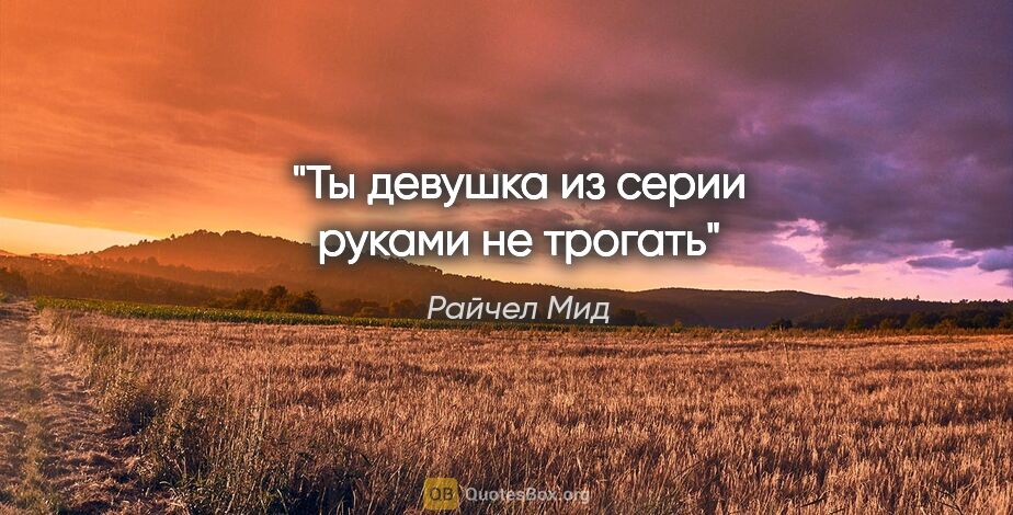 Райчел Мид цитата: "Ты девушка из серии «руками не трогать»"