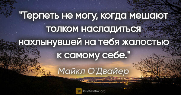 Майкл О'Двайер цитата: "Терпеть не могу, когда мешают толком насладиться нахлынувшей..."