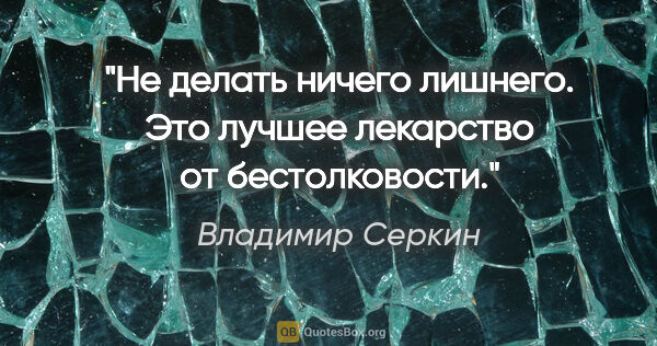Владимир Серкин цитата: "Не делать ничего лишнего. Это лучшее лекарство от бестолковости."