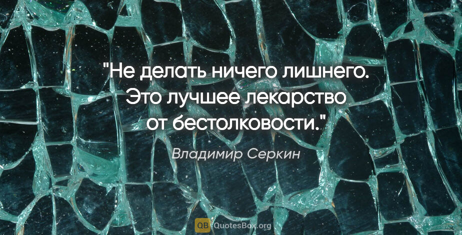 Владимир Серкин цитата: "Не делать ничего лишнего. Это лучшее лекарство от бестолковости."