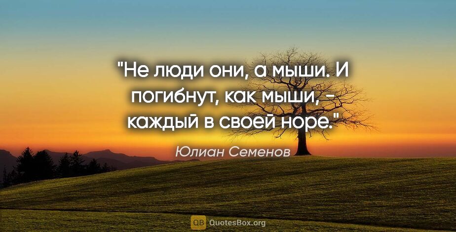 Юлиан Семенов цитата: "Не люди они, а мыши. И погибнут, как мыши, - каждый в своей норе."