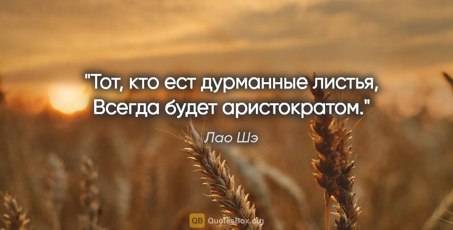 Лао Шэ цитата: "Тот, кто ест дурманные листья,

Всегда будет аристократом."