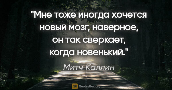 Митч Каллин цитата: "Мне тоже иногда хочется новый мозг, наверное, он так сверкает,..."