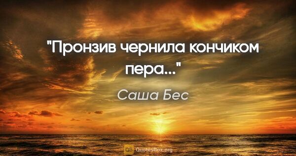 Саша Бес цитата: "Пронзив чернила кончиком пера..."