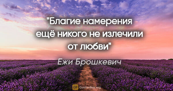 Ежи Брошкевич цитата: "Благие намерения ещё никого не излечили от любви"