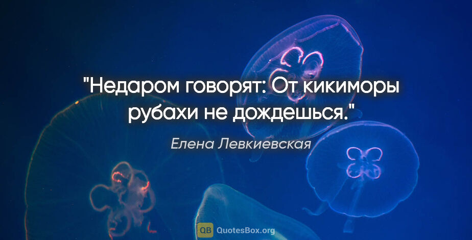 Елена Левкиевская цитата: "Недаром говорят: "От кикиморы рубахи не дождешься"."