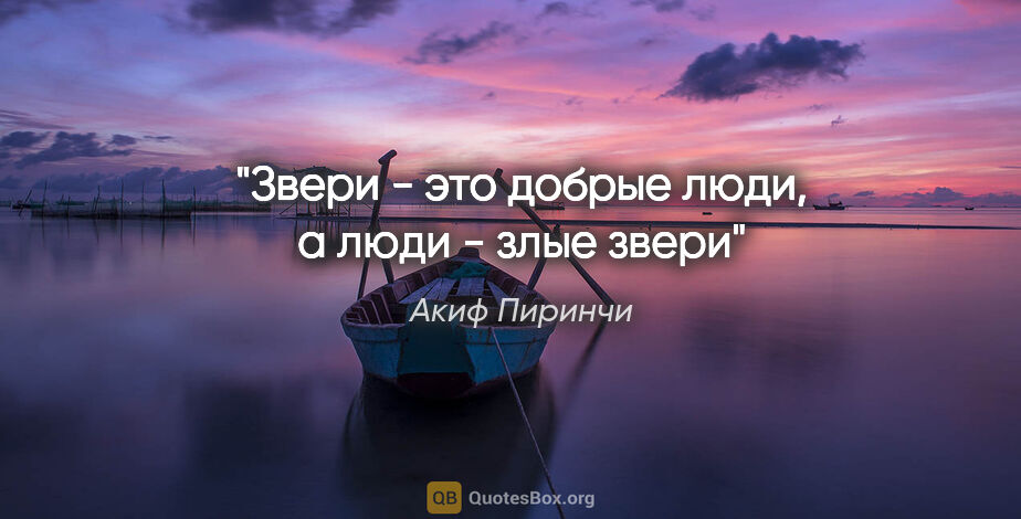 Акиф Пиринчи цитата: ""Звери - это добрые люди, а люди - злые звери""