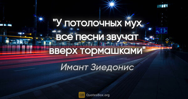 Имант Зиедонис цитата: ""У потолочных мух все песни звучат вверх тормашками""