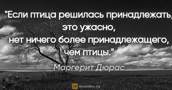 Маргерит Дюрас цитата: "Если птица решилась принадлежать, это ужасно, нет ничего более..."