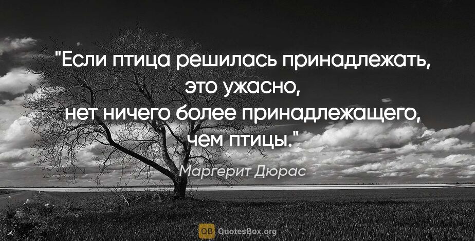 Маргерит Дюрас цитата: "Если птица решилась принадлежать, это ужасно, нет ничего более..."