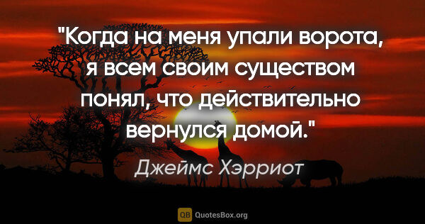 Джеймс Хэрриот цитата: "Когда на меня упали ворота, я всем своим существом понял, что..."