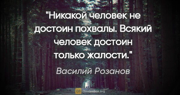 Василий Розанов цитата: "Никакой человек не достоин похвалы. Всякий человек достоин..."