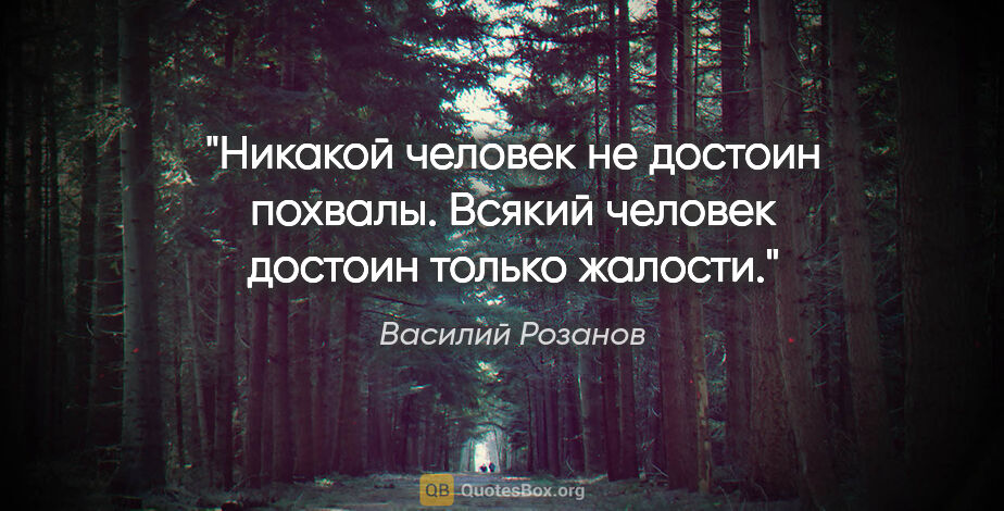 Василий Розанов цитата: "Никакой человек не достоин похвалы. Всякий человек достоин..."
